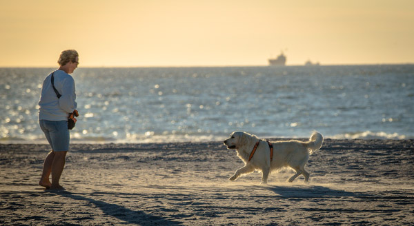 omgeving-strand